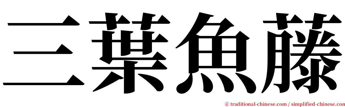 三葉魚藤 serif font