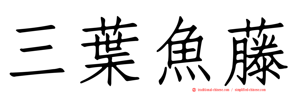 三葉魚藤