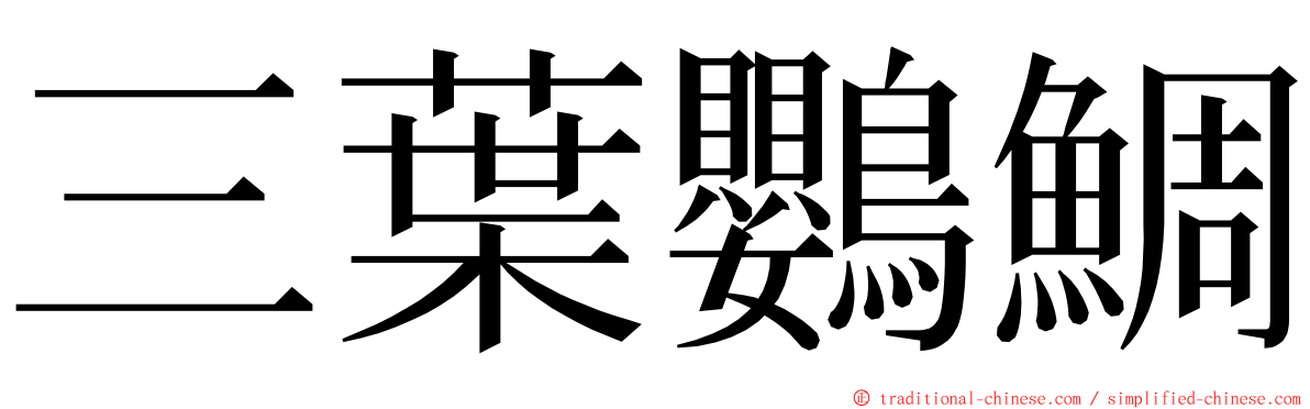 三葉鸚鯛 ming font