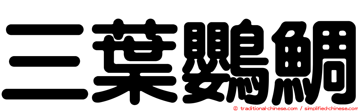 三葉鸚鯛