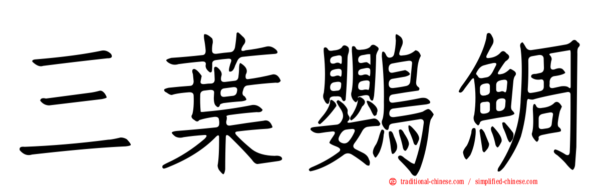三葉鸚鯛
