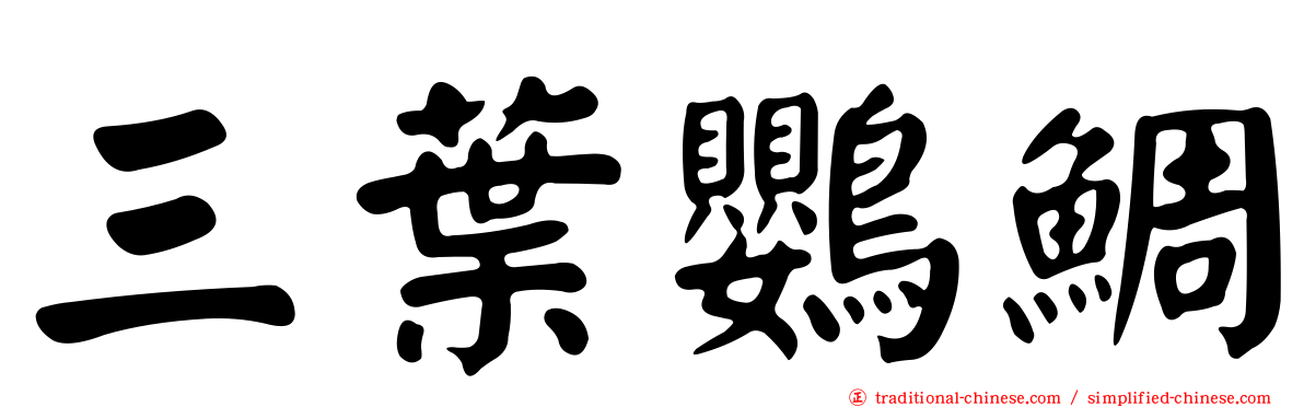 三葉鸚鯛