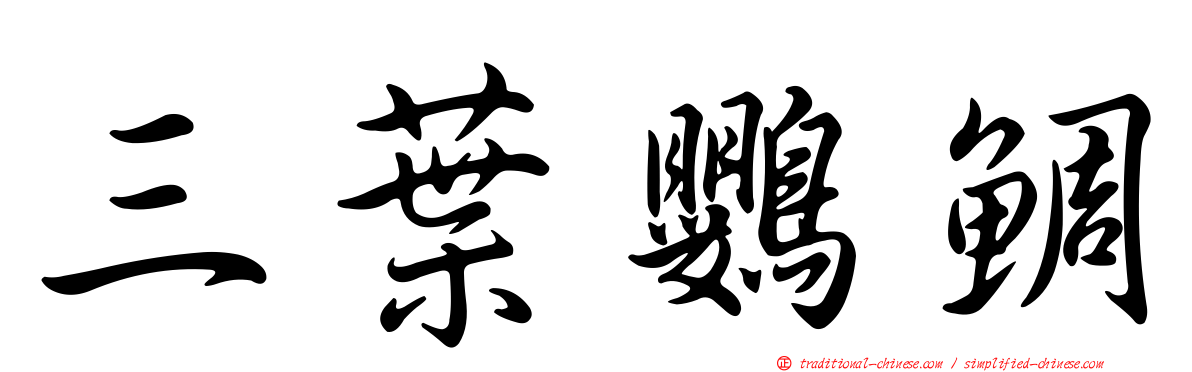 三葉鸚鯛