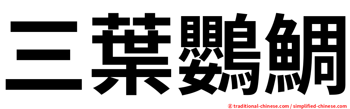 三葉鸚鯛