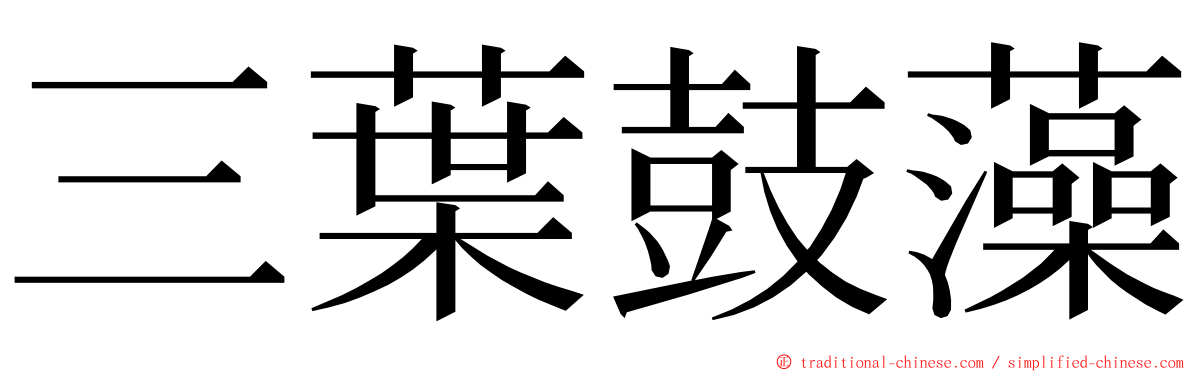 三葉鼓藻 ming font