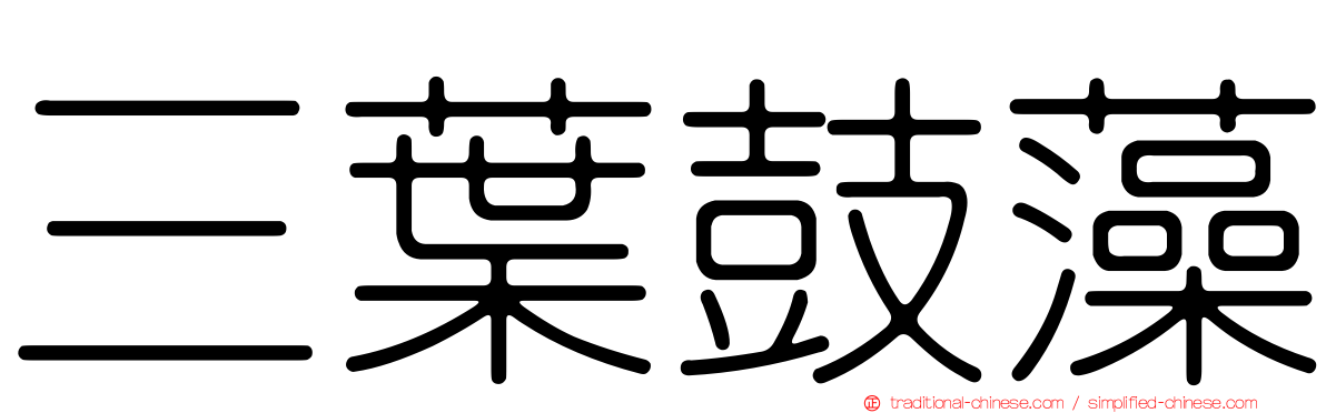 三葉鼓藻