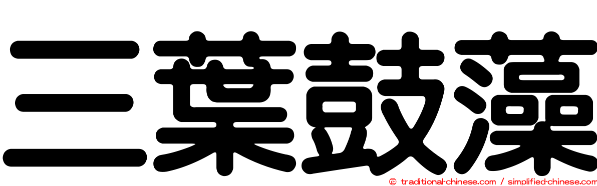 三葉鼓藻