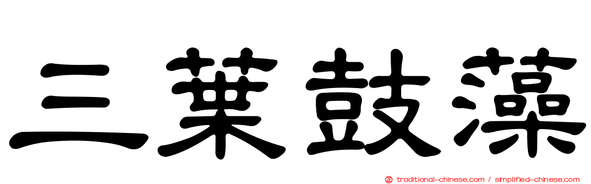 三葉鼓藻