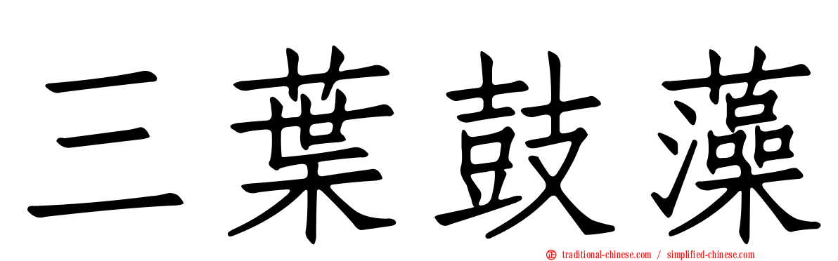 三葉鼓藻