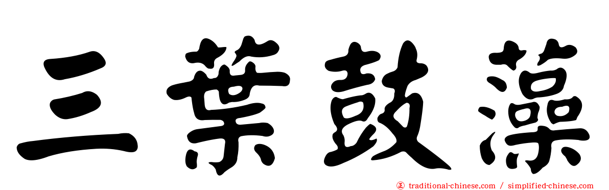 三葉鼓藻