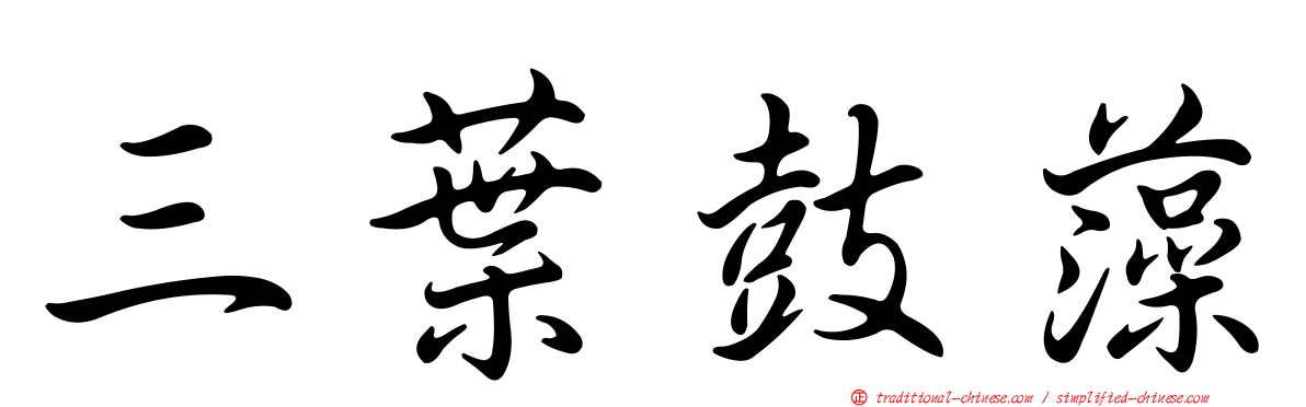 三葉鼓藻