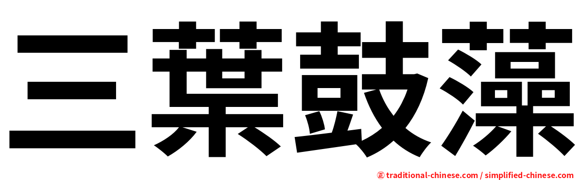 三葉鼓藻