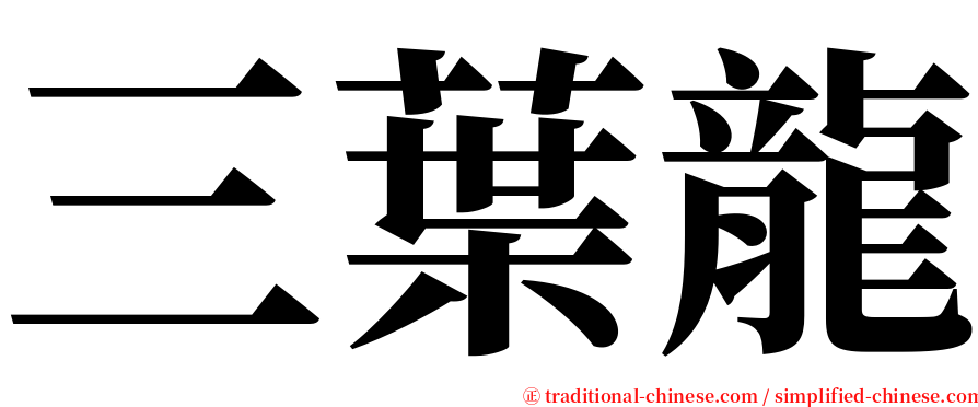 三葉龍 serif font