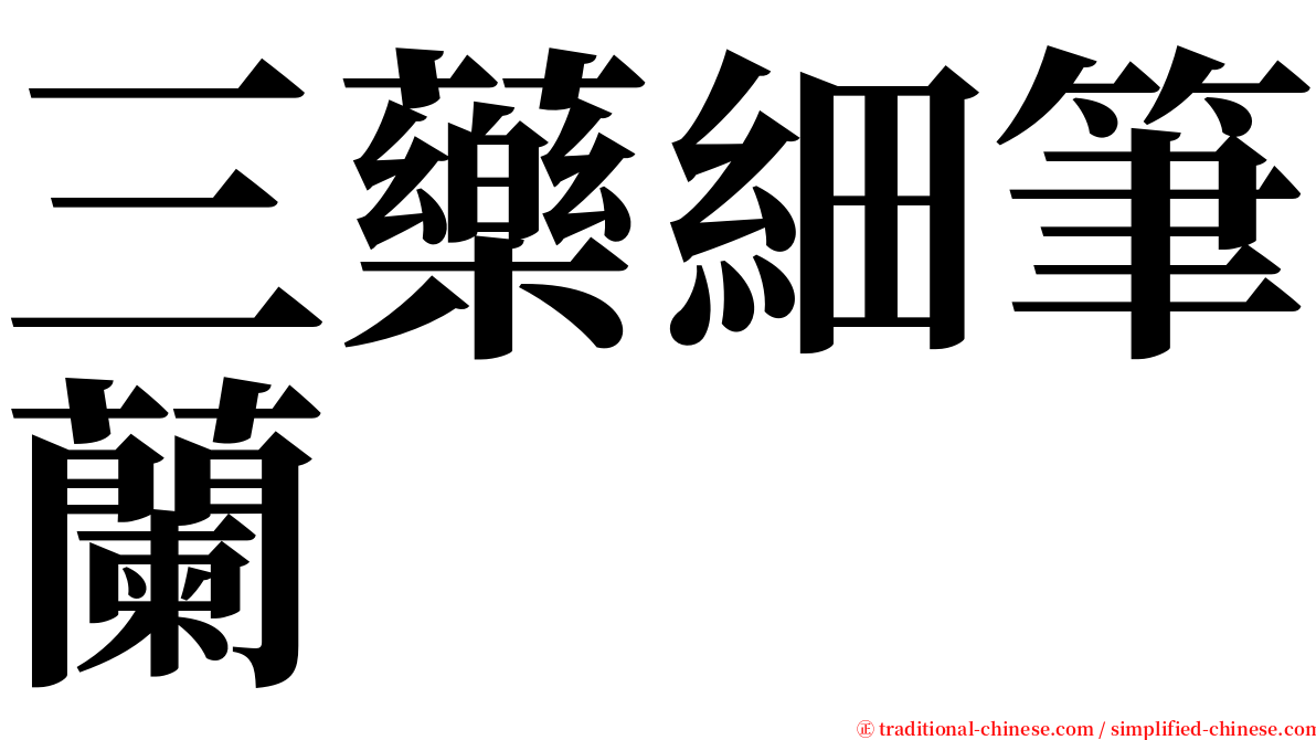 三藥細筆蘭 serif font