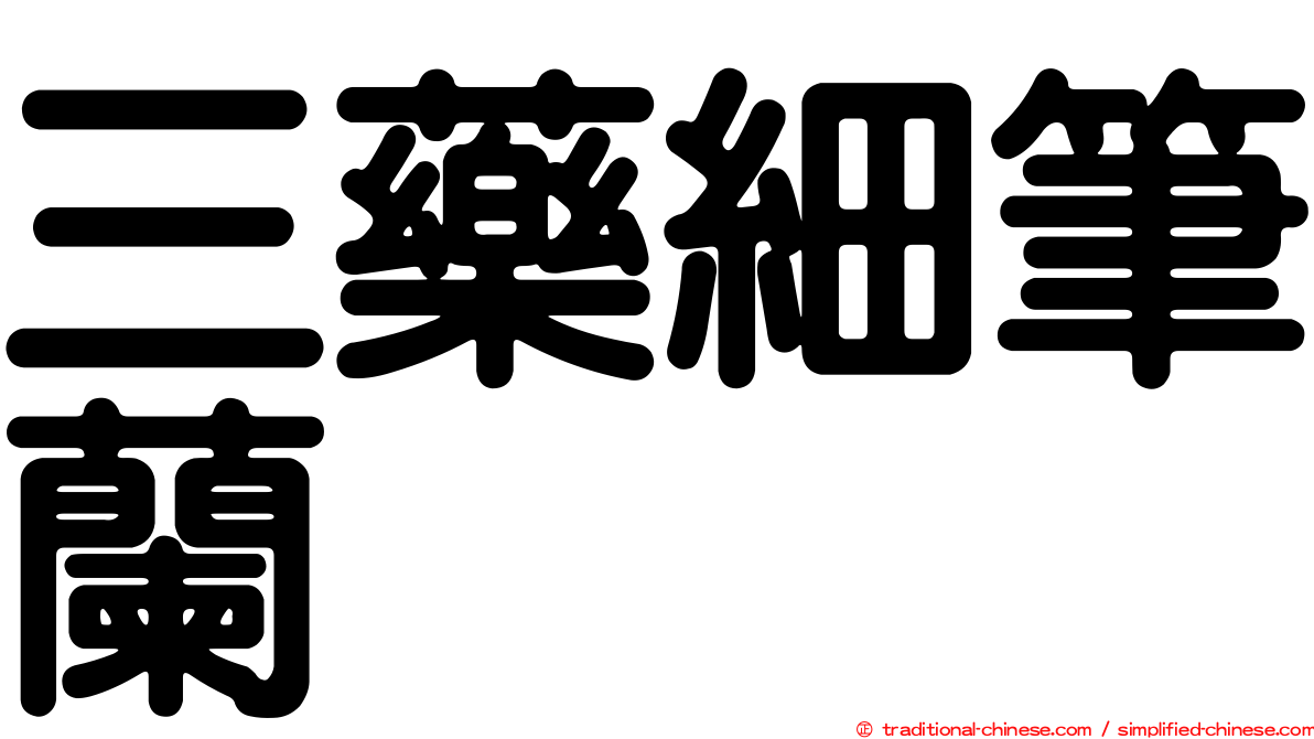 三藥細筆蘭