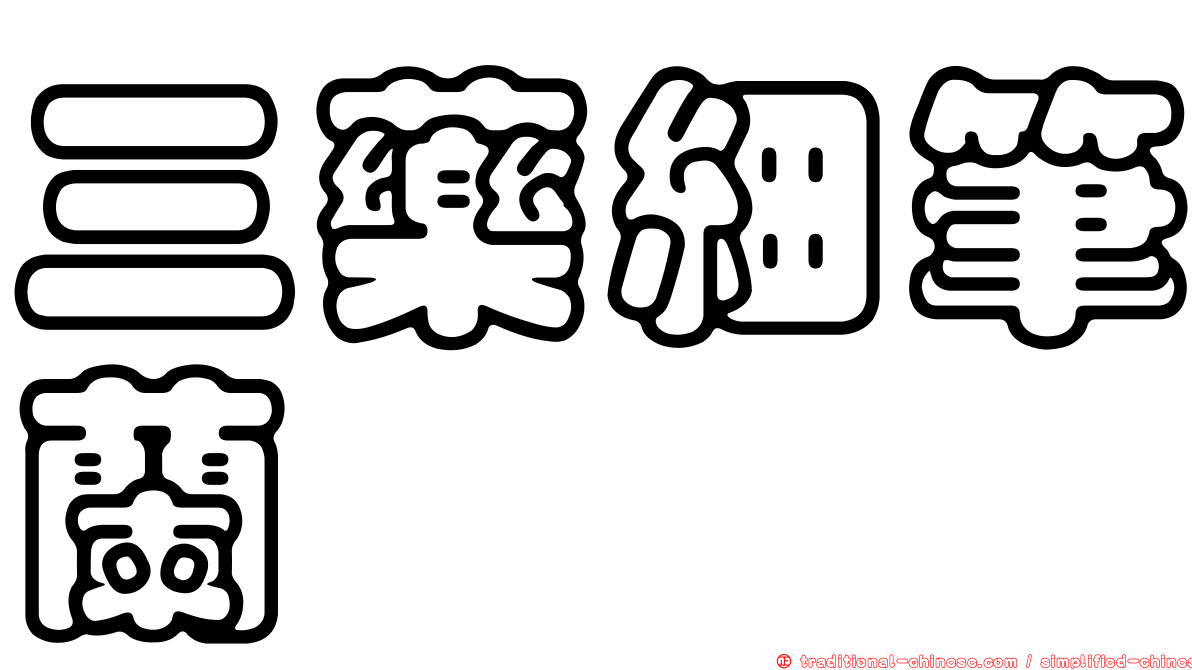 三藥細筆蘭