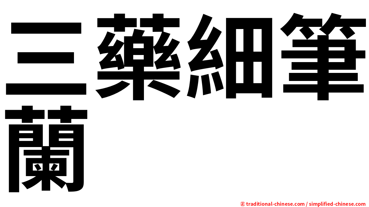 三藥細筆蘭