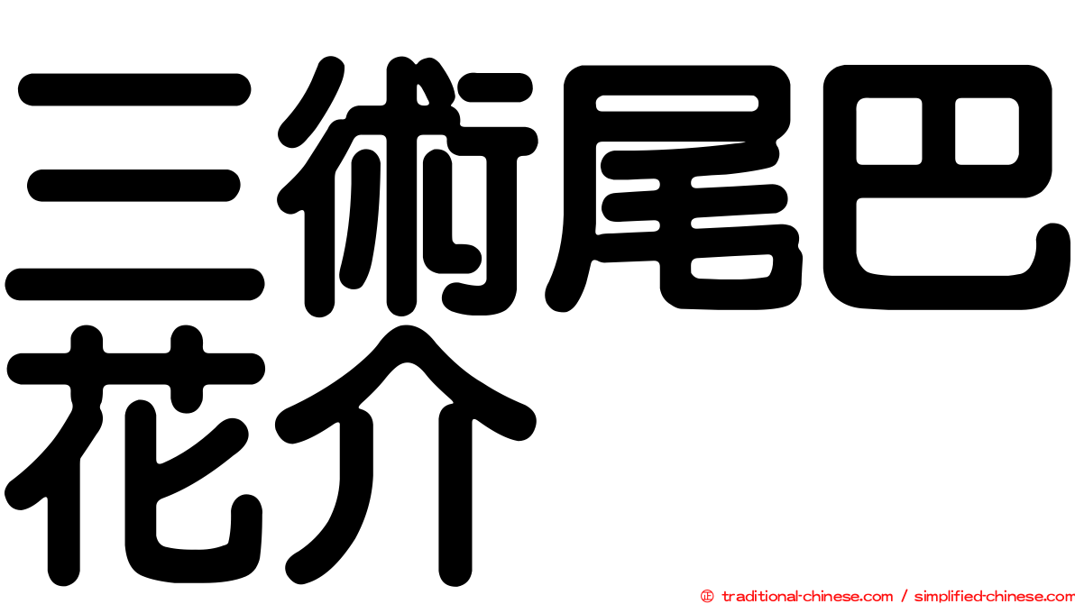 三術尾巴花介