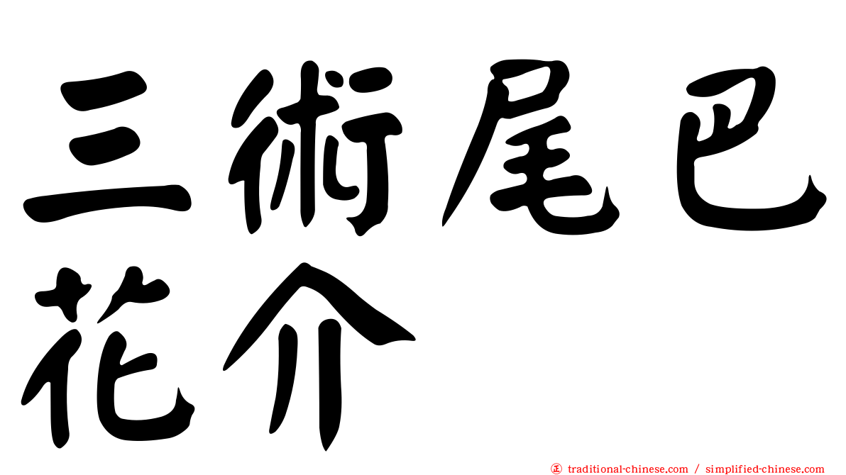 三術尾巴花介