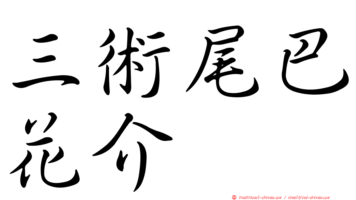 三術尾巴花介