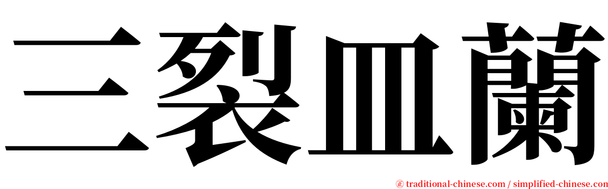 三裂皿蘭 serif font