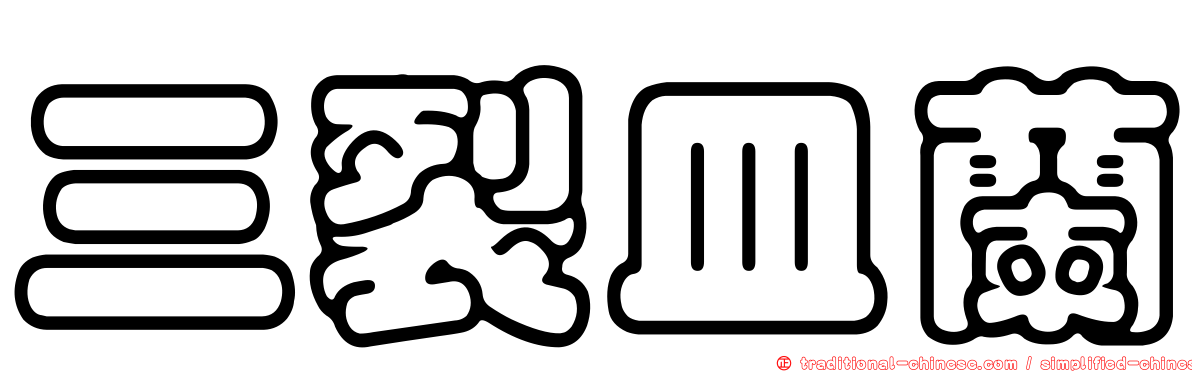 三裂皿蘭