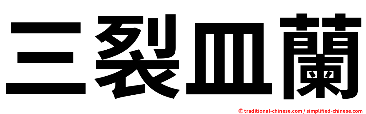 三裂皿蘭