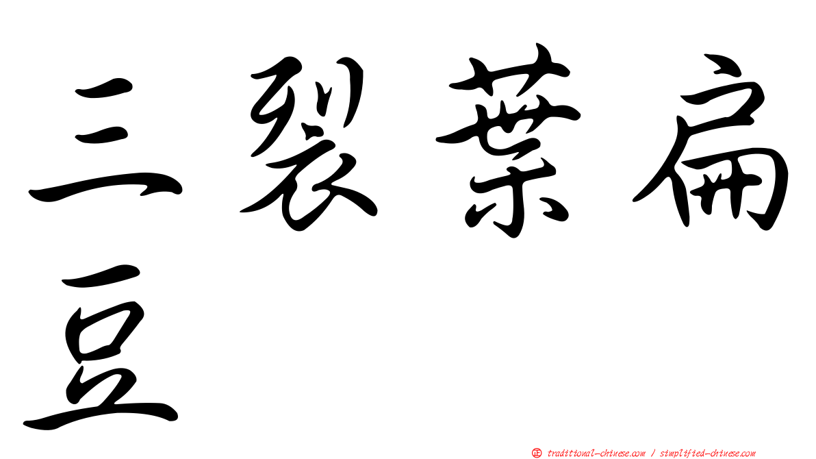三裂葉扁豆