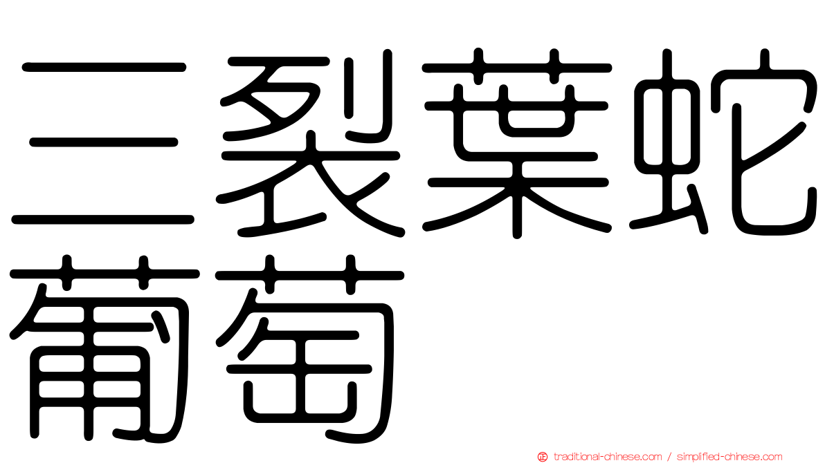 三裂葉蛇葡萄