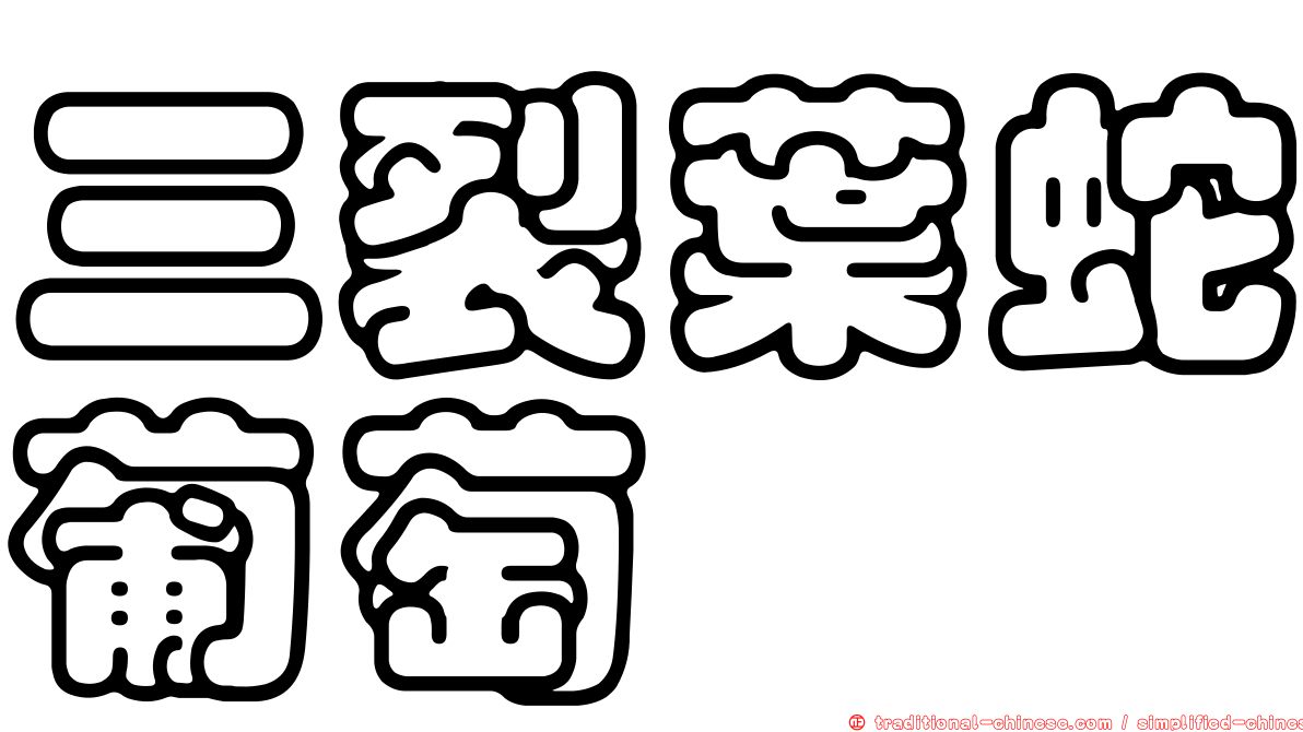 三裂葉蛇葡萄