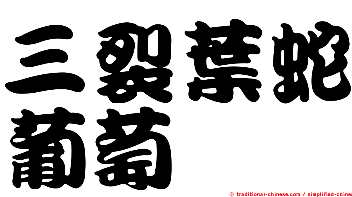 三裂葉蛇葡萄