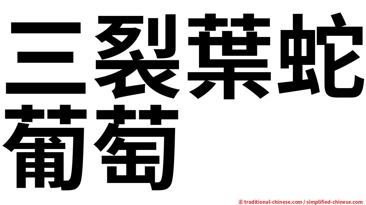 三裂葉蛇葡萄