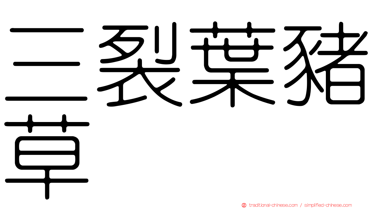 三裂葉豬草