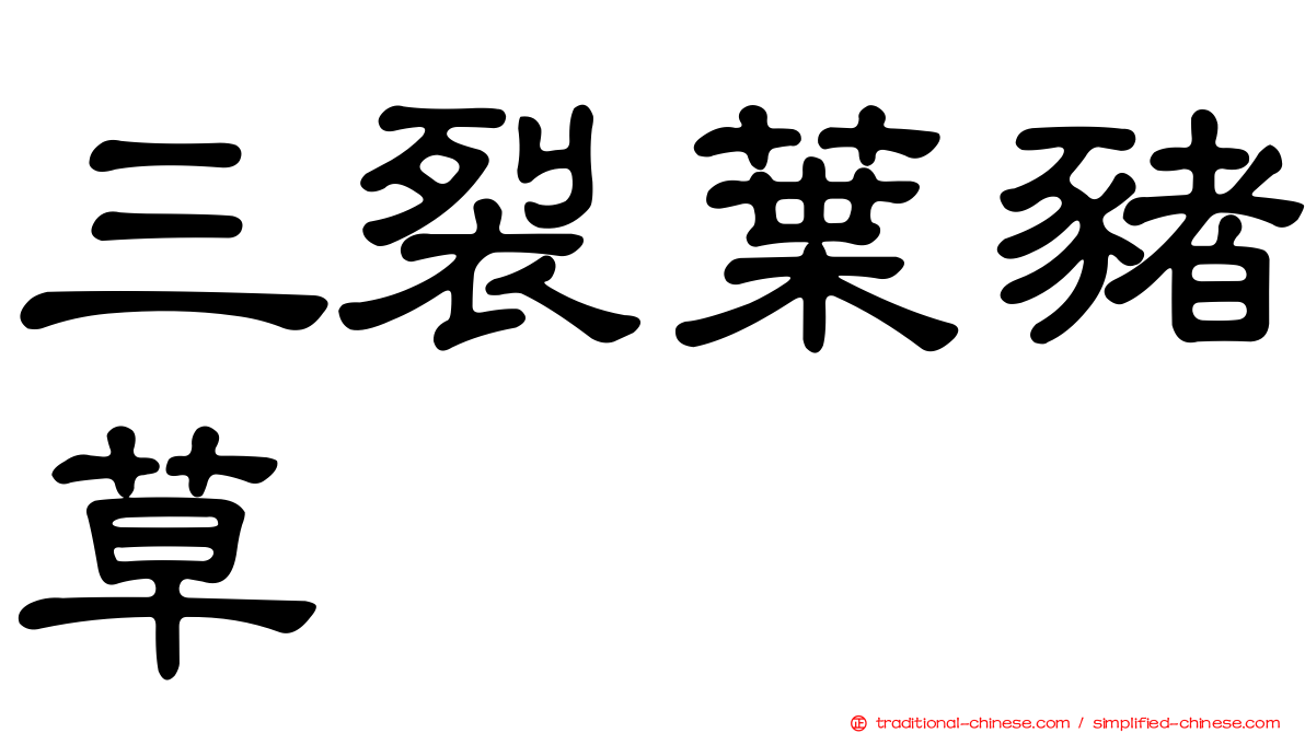 三裂葉豬草