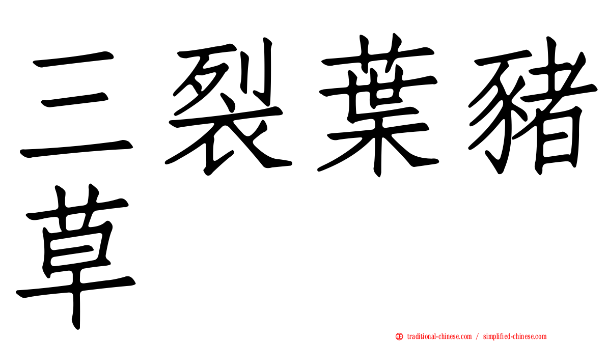 三裂葉豬草