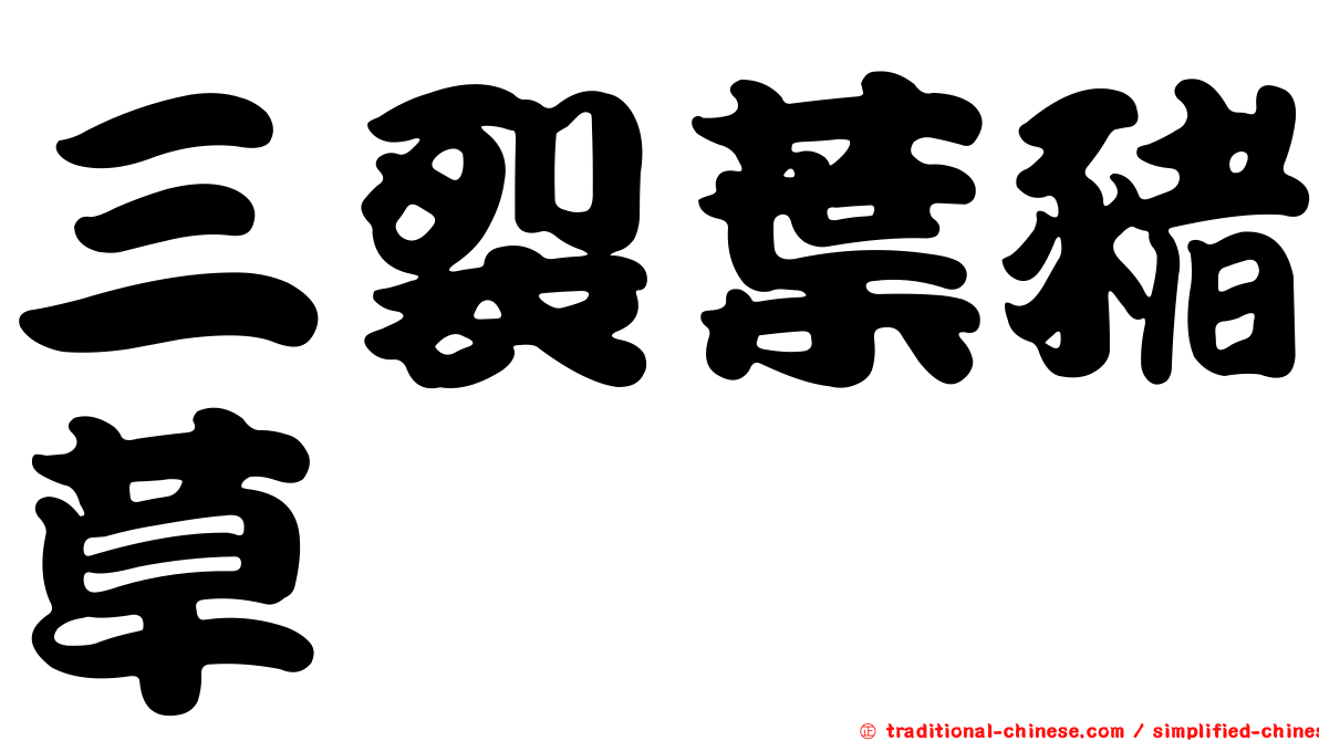 三裂葉豬草