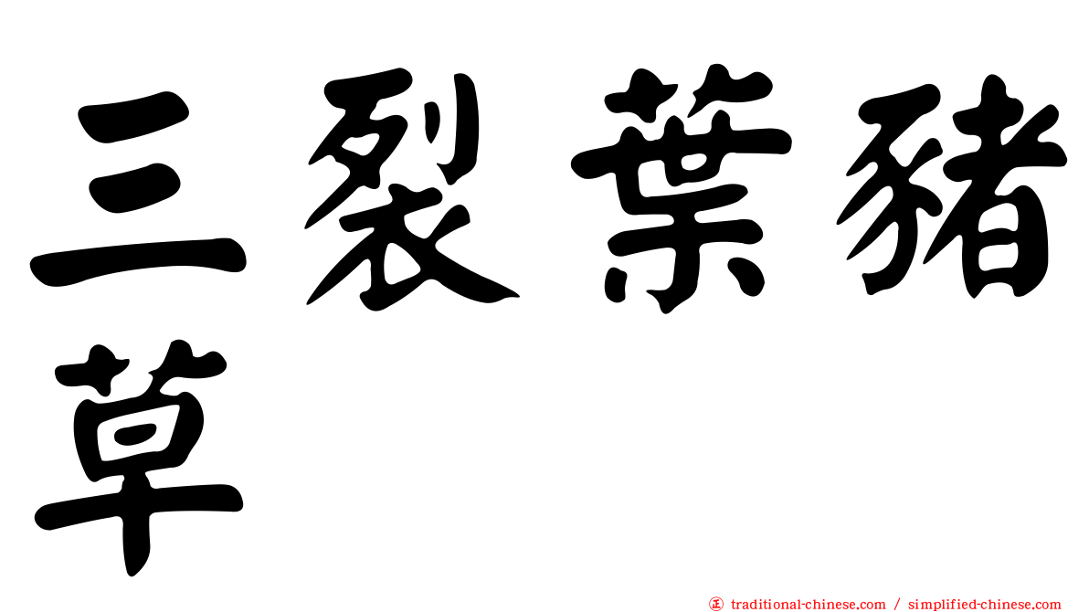 三裂葉豬草