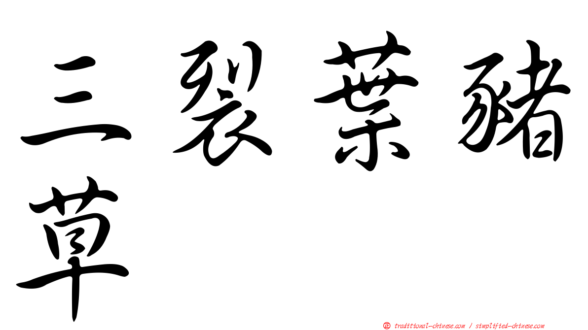 三裂葉豬草