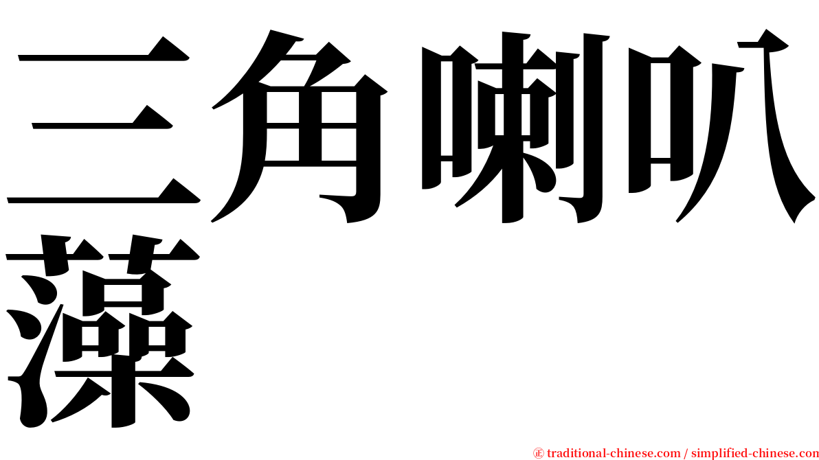 三角喇叭藻 serif font