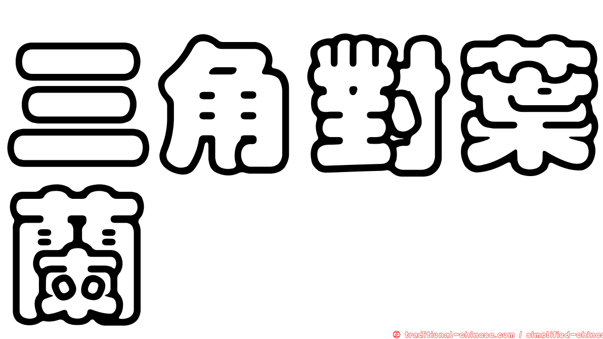 三角對葉蘭