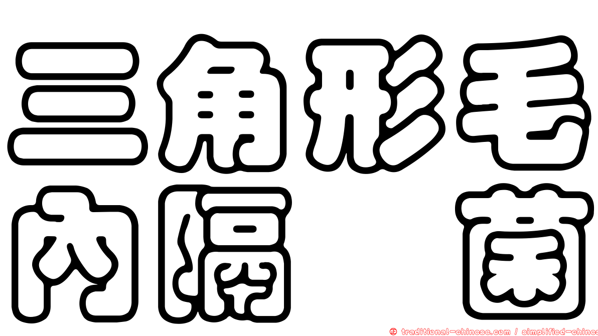 三角形毛內隔孢菌