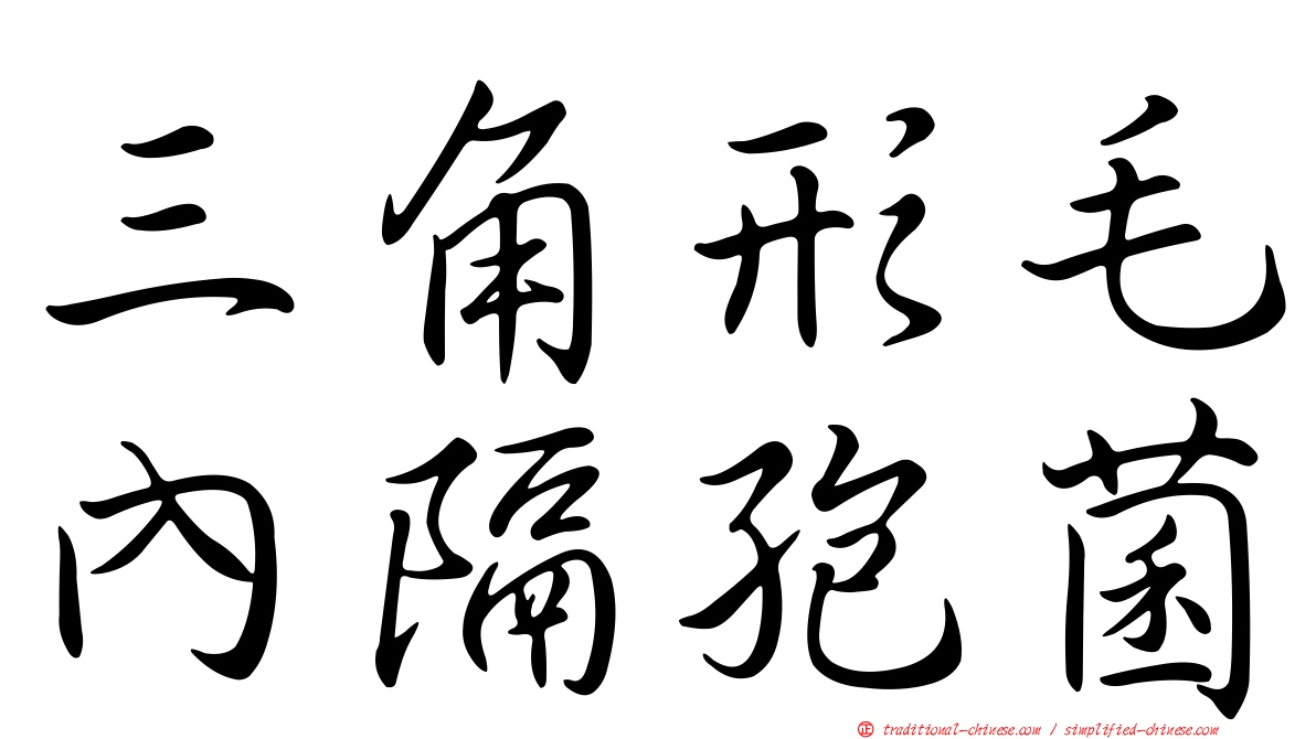三角形毛內隔孢菌