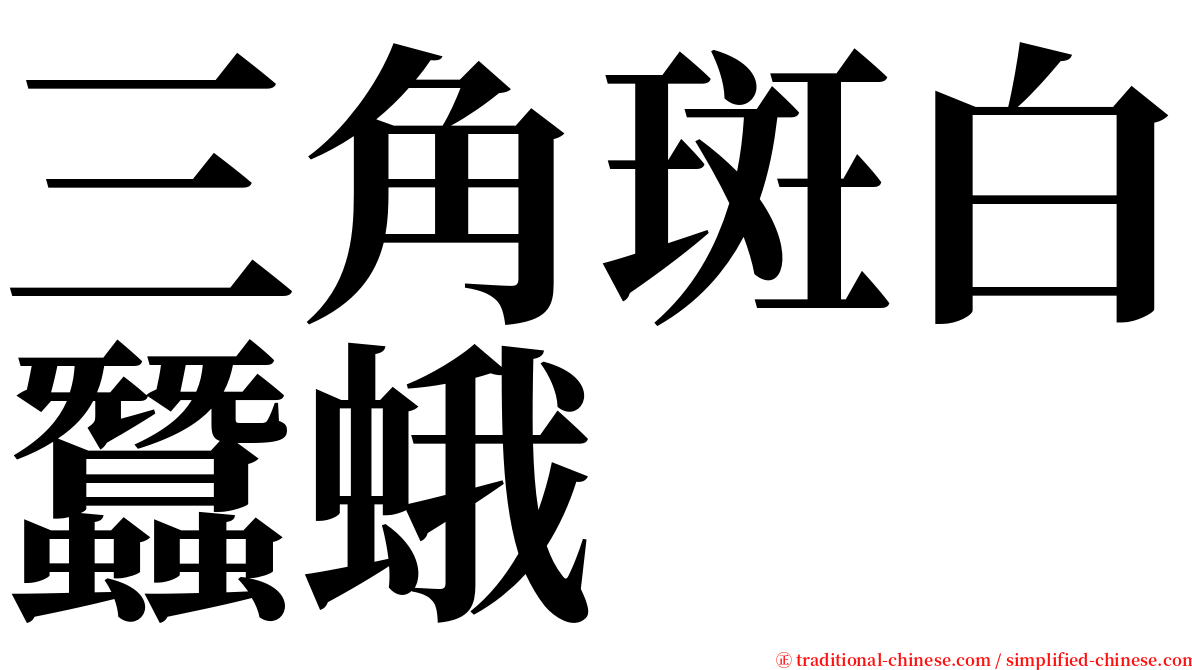 三角斑白蠶蛾 serif font