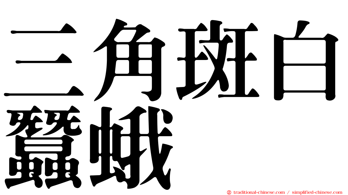 三角斑白蠶蛾
