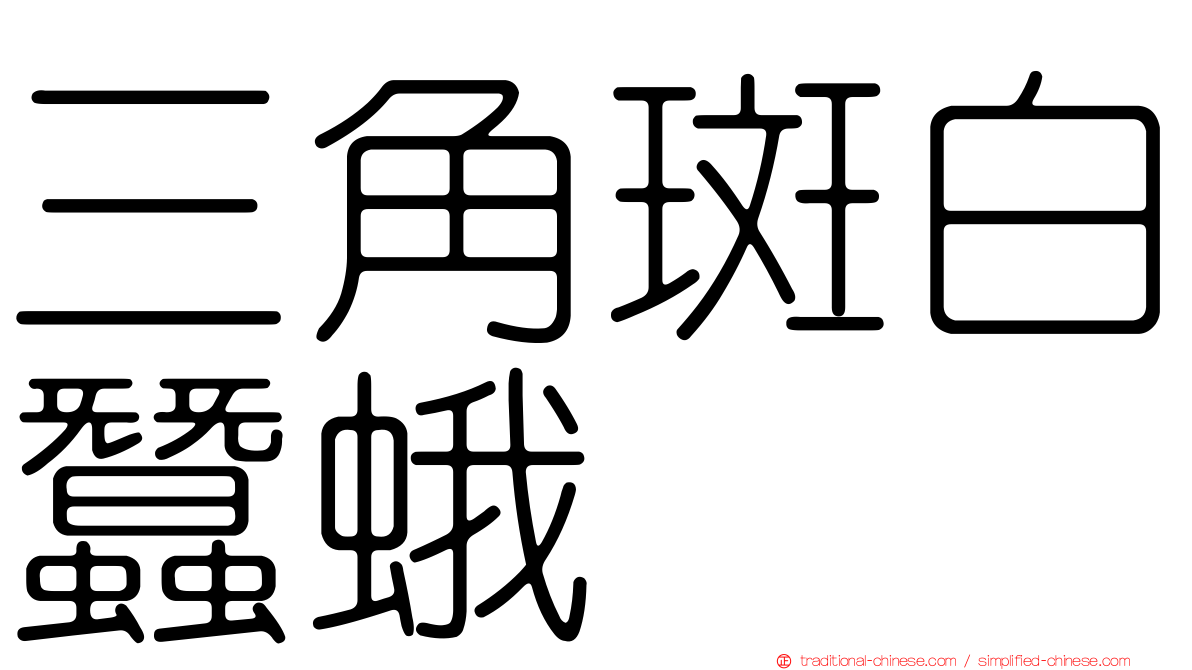 三角斑白蠶蛾
