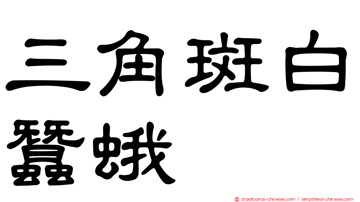三角斑白蠶蛾