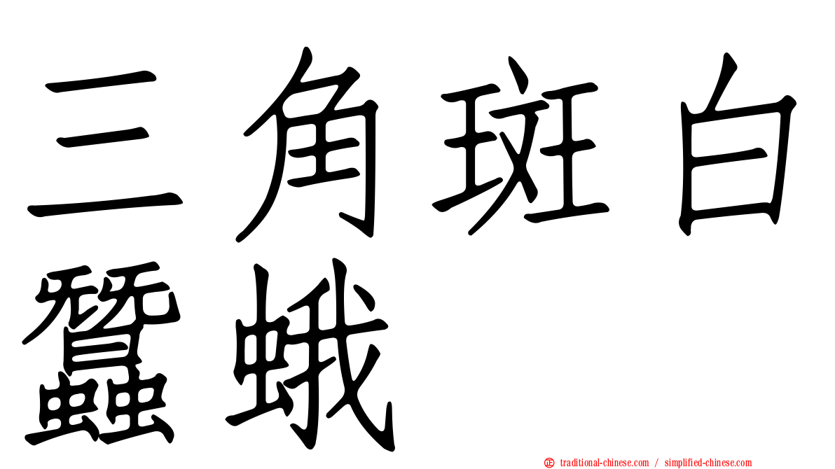 三角斑白蠶蛾
