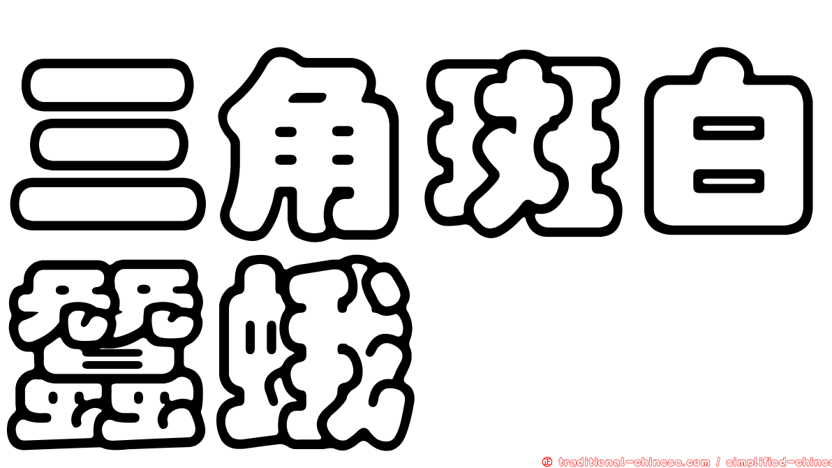 三角斑白蠶蛾