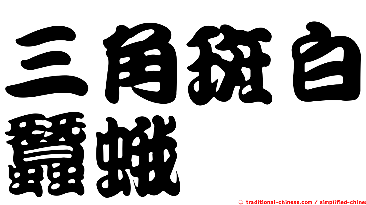 三角斑白蠶蛾