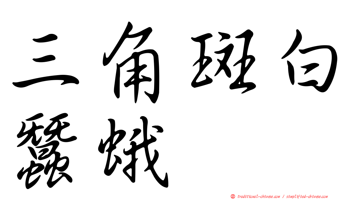 三角斑白蠶蛾
